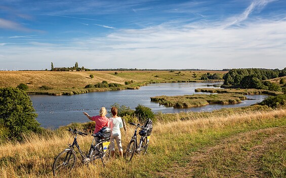Oderbruchbahn-Radweg mit Blick auf die Lietzener Teiche, Foto: Florian Läufer, Lizenz: Seenland Oder-Spree e.V.