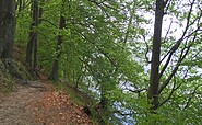 Wanderpfad auf der Ostseite des Werbellinsees, Foto: Anke Bielig, Lizenz: Gemeinde Schorfheide
