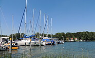 Werbellinsee Südufer, Foto: Rebekka Schween, Lizenz: WITO Barnim GmbH