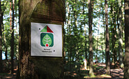 Bernauer Waldlehrpfad, Foto: Nils Lönnies