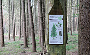 Bernauer Waldlehrpfad, Foto: Nils Lönnies
