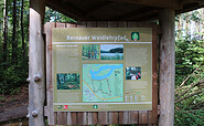 Bernauer Waldlehrpfad, Foto: Nils Lönnies