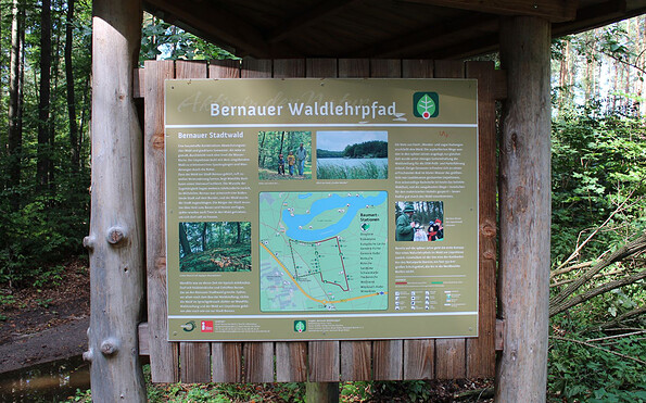 Bernauer Waldlehrpfad, Foto: Nils Lönnies
