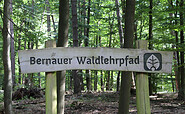 Bernauer Waldlehrpfad, Foto: Nils Lönnies