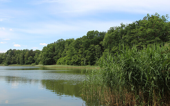 Bernauer Seenwanderung - Mechesee, Foto: Nils Lönnies, Lizenz: BeSt Bernauer Stadtmarketing GmbH