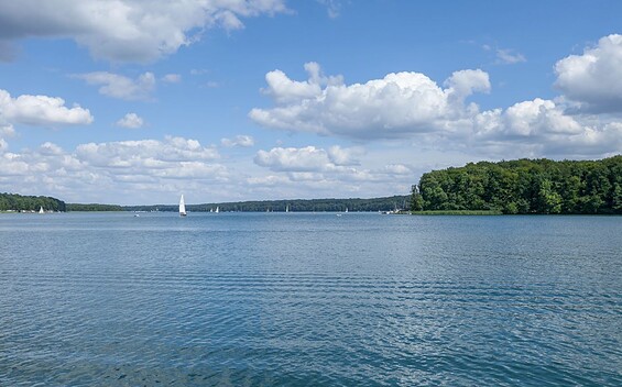 Werbellinsee, Foto: TMB-Fotoarchiv/Steffen Lehmann, Lizenz: TMB