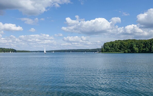 Werbellinsee, Foto: TMB-Fotoarchiv/Steffen Lehmann, Lizenz: TMB