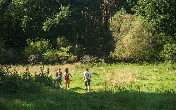 Verwunschenes Löcknitztal , Foto: Christoph Creutzburg, Lizenz: Seenland Oder-Spree