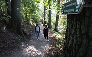 Bötzsee Ostufer, Foto: Christoph Creutzburg, Lizenz: Seenland Oder-Spree