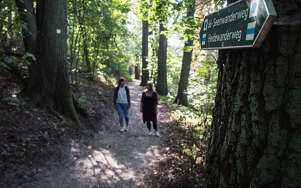 Bötzsee Ostufer, Foto: Christoph Creutzburg, Lizenz: Seenland Oder-Spree