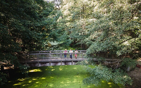 Brücke über die Löcknitz, Foto: Christoph Creutzburg, Lizenz: Seenland Oder-Spree