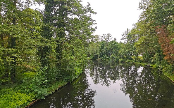 Löcknitz im Sommer, Foto: Marie Kessler, Lizenz: Seenland Oder-Spree