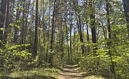 Wanderung am Glubigsee, Foto: Steffen Lehmann, Lizenz: TMB Fotoarchiv