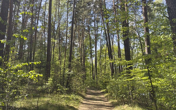 Wanderung am Glubigsee, Foto: Steffen Lehmann, Lizenz: TMB Fotoarchiv