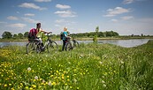 Oder-Neiße-Radweg, Foto: Florian Läufer, Lizenz: Seenland Oder-Spree