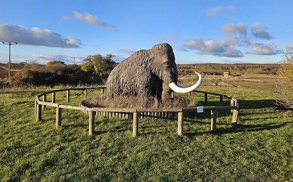 Mammut, Foto: Fanny Raab, Lizenz: TMB
