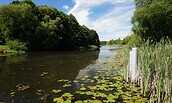 Finowkanal, Foto: TMB, Jan Hoffmann