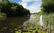 Finowkanal, Foto: TMB, Jan Hoffmann