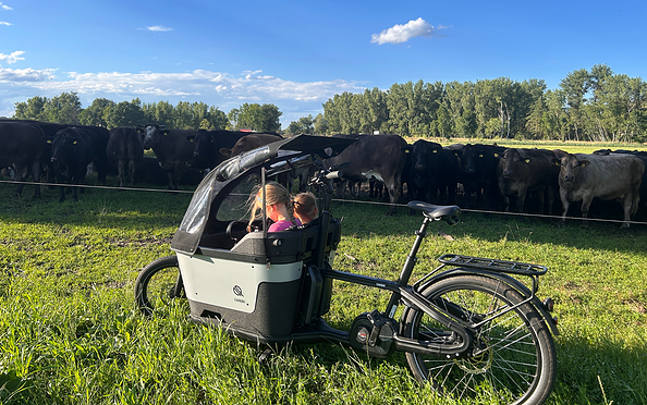 E-Lastenrad, Foto: Sebastian Fölkel, Lizenz: Ruppiner Bike &amp; Paddle Adventure
