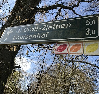 Wegweiser Buchenwald Weltnaturerbe Grumsin, Foto: Anet Hoppe