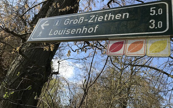 Wegweiser Buchenwald Weltnaturerbe Grumsin, Foto: Anet Hoppe