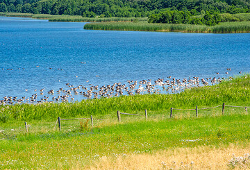 Radrundtour Grimnitzsee, Foto: Amt Joachimsthal (Schorfheide), Lizenz: Amt Joachimsthal (Schorfheide)