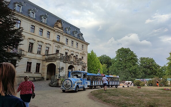 Small railway sea snake at Altdöbern Castle, Foto: Denise Haynert, Lizenz: Denise Haynert