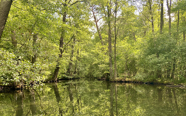 Fließ Glubigseenkette, Foto: Nadine Weber, Lizenz: Seenland Oder Spree