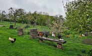 Naturbauernhof Gierke, Foto: Constanze Gierke, Lizenz: Constanze Gierke