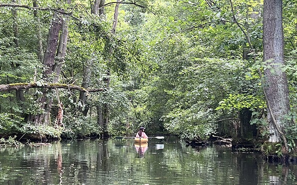 Kanutour Glubigseenkette , Foto: Antonia Lustig, Lizenz: Seenland Oder-Spree