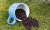 Kaffeetasse, Foto: LKEE Kai Hüttner, Lizenz: LKEE Kai Hüttner
