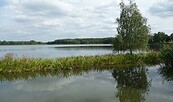 Hammerteich Lindena, Foto: TVEEL, Lizenz: TVEEL