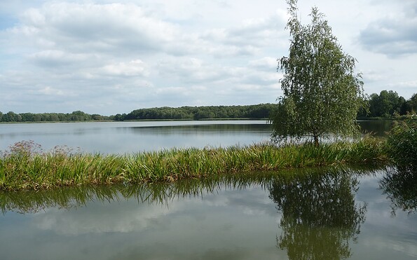 Hammerteich Lindena, Foto: TVEEL, Lizenz: TVEEL