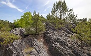 Rothsteiner Felsen, Foto: LKEE/Andreas Franke, Lizenz: LKEE/Andreas Franke