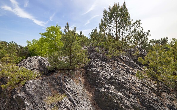 Rothsteiner Felsen, Foto: LKEE/Andreas Franke, Lizenz: LKEE/Andreas Franke