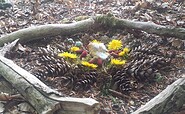 Wälder für Menschen, Foto: Wälder für Menschen, Lizenz: Wälder für Menschen
