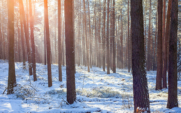 Grödener Berge, Foto: LKEE/Andreas Franke, Lizenz: LKEE/Andreas Franke