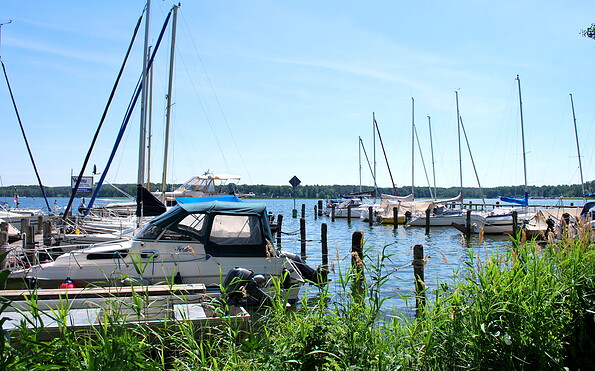 Hafen Festwiese Wendisch Rietz, Foto: Tourismusverein Scharmützelsee