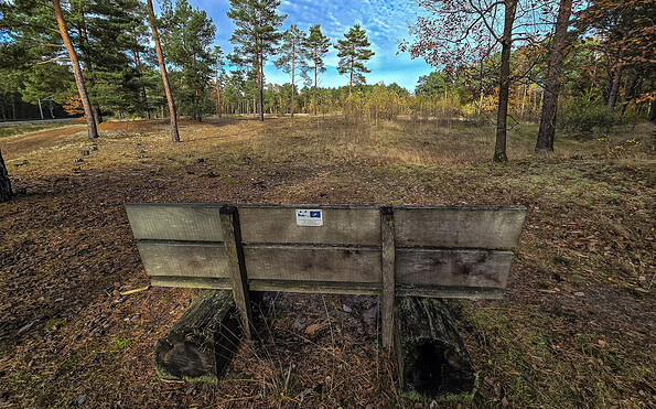 bench at the edge of the forest, Foto: Carsten Preuss, Lizenz: Naturpark Dahme-Heideseen