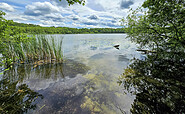 Lake Gülden, Foto: Carsten Preuss, Lizenz: Naturpark Dahme-Heideseen