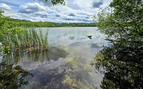 Lake Gülden, Foto: Carsten Preuss, Lizenz: Naturpark Dahme-Heideseen