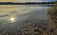 Lake Gülden in autumn, Foto: Carsten Preuss, Lizenz: Naturpark Dahme-Heideseen
