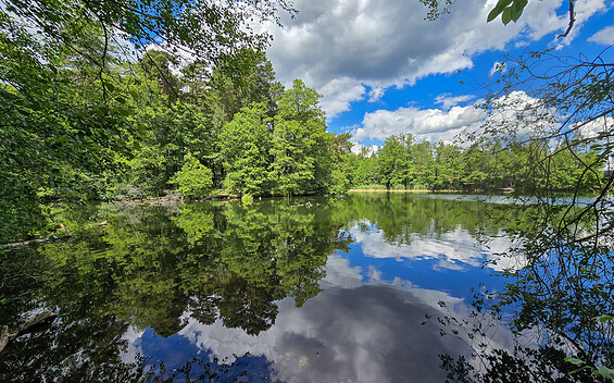 Lake Rosskard, Foto: Carsten Preuss, Lizenz: Naturpark Dahme-Heideseen
