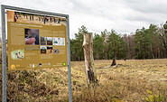 Infotafel, Foto: Sandra Fonarob, Lizenz: Tourismusverband Dahme-Seenland e.V.