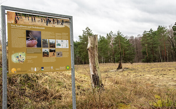 Infotafel, Foto: Sandra Fonarob, Lizenz: Tourismusverband Dahme-Seenland e.V.