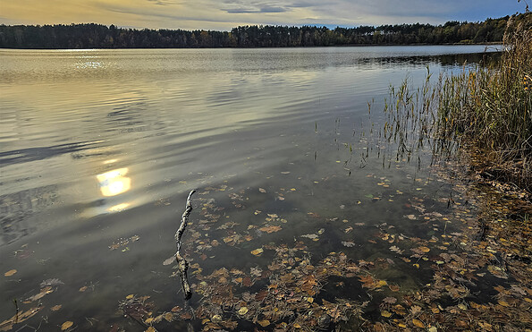 Güldensee im Herbst, Foto: Carsten Preuss, Lizenz: Naturpark Dahme-Heideseen