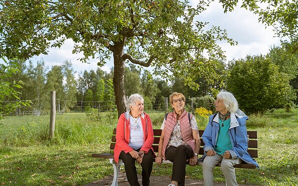 A break by the orchard meadow, Foto: Steffen Lehmann, Lizenz: TMB Tourismus-Marketing Brandenburg GmbH