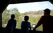 Blick in den ehemaligen Tagebau, Foto: Andreas Franke, Lizenz: Andreas Franke