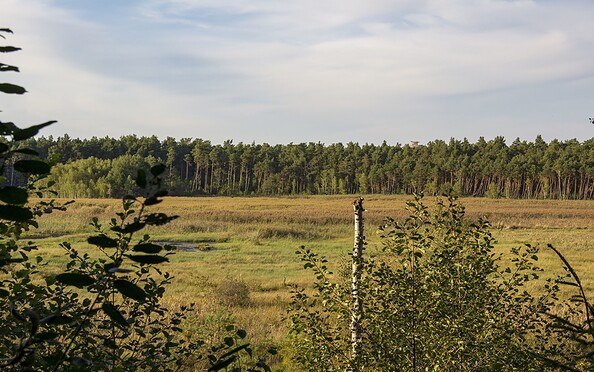 Aussicht vom Lobenturm, Foto: TMB-Fotoarchiv/ScottyScout , Lizenz: TMB-Fotoarchiv/ScottyScout