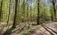 Hainholz, Foto: Stadt Pritzwalk, Lizenz: Stadt Pritzwalk